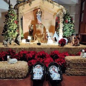 Meet your Posher, Socorro